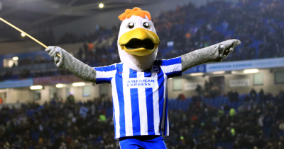 Team overview - Brighton and Hove Albion